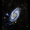 M81