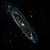 Andromeda, the Galaxy Next Door