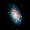 M33